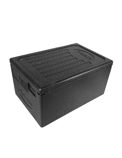 Термоконтейнер  46 л. 600*400*310 мм. для гастроем. h=200 мм. (-40°C до +120°C) п/п /1/